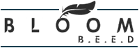 BloomBeed